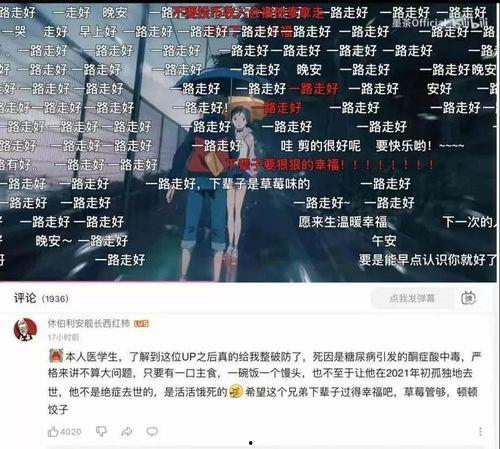 娱乐圈吃瓜游戏视频全集,揭秘视频全集精彩瞬间